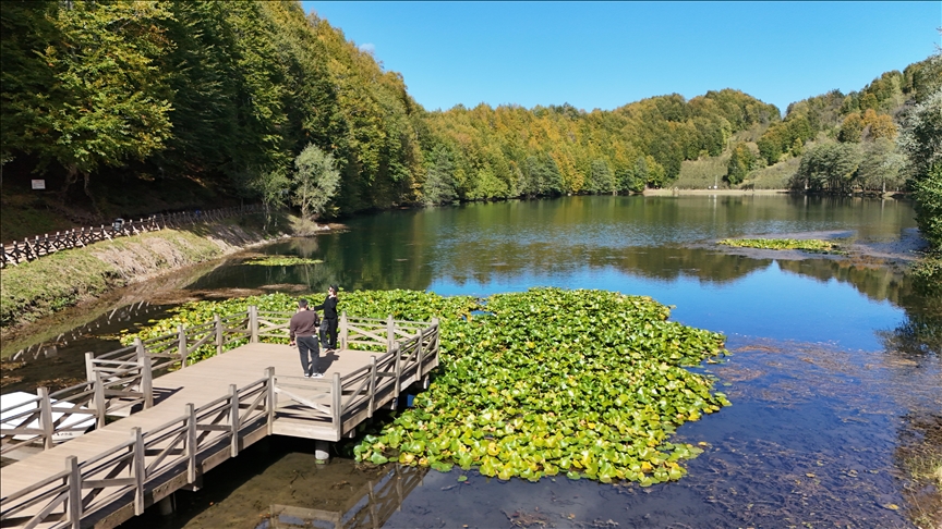 Doğanın Güzellikleri: Tabiat Galerisi