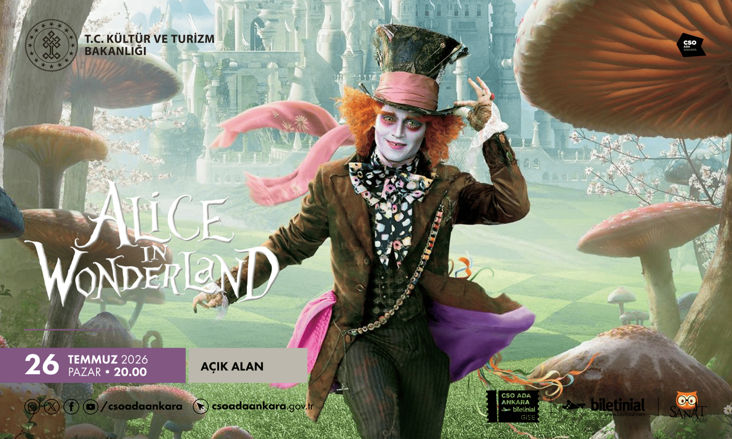 ALICE HARİKJALAR DİYARINDA 1