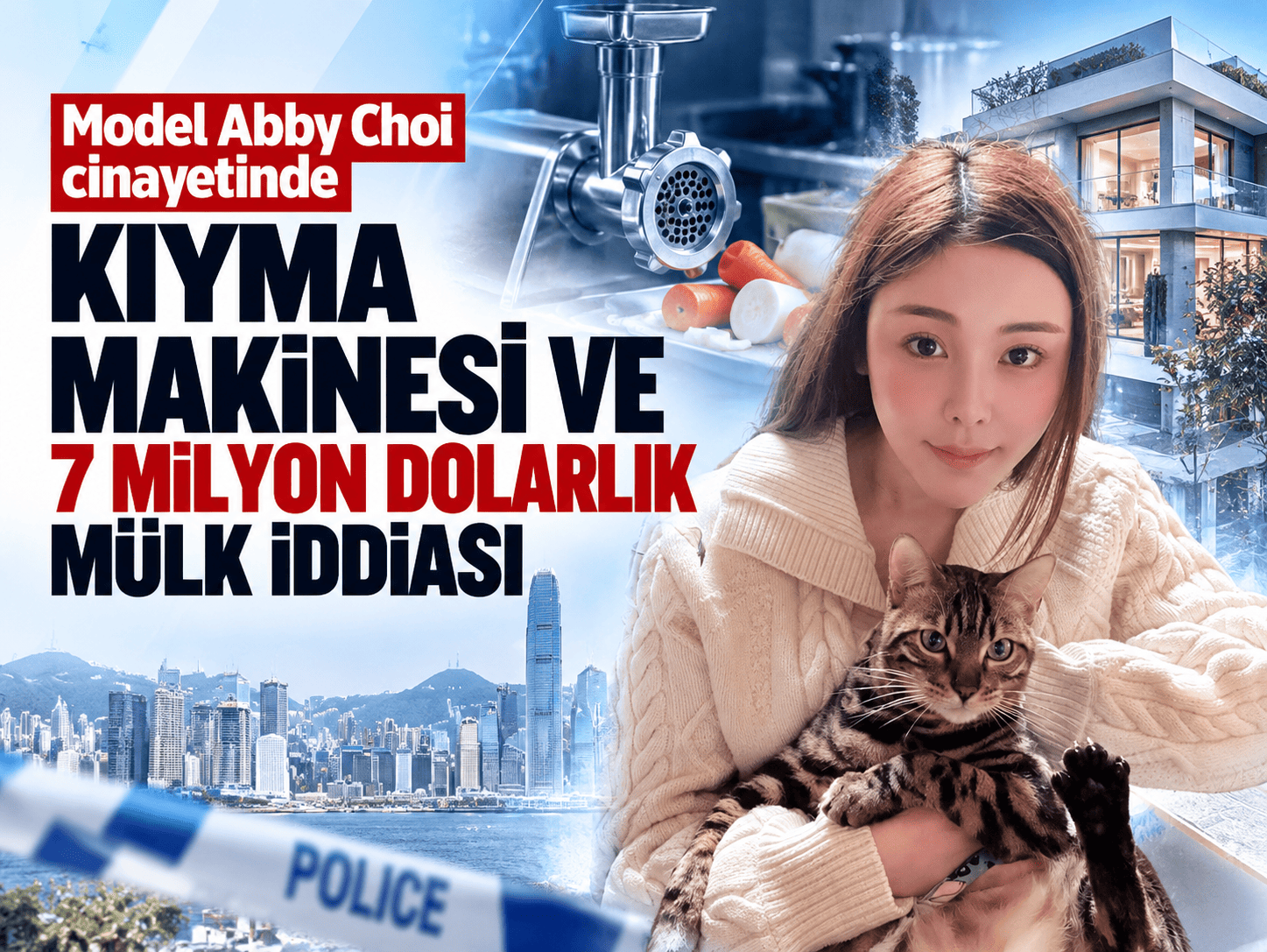 Model Abby Choi cinayetinde kıyma makinesi ve 7 milyon dolarlık mülk iddiası